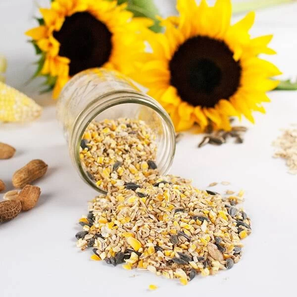 2-Pound Chicken Party Mix Seed & Mealworm Treat 4 2-Pound Chicken Party Mix Seed & Mealworm Treat - Image 2