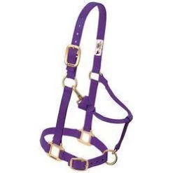 Weaver Leather 35-7033-Pu Adjustable Halter, Yearling, Nylon, Purple