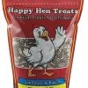2-Pound Chicken Party Mix Seed & Mealworm Treat -Farm And Ranch Store 1291897 ep 1551737165 0 1