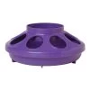 Purple 1-Quart Screw-On Poultry Feeder Base 1 Purple 1-Quart Screw-On Poultry Feeder Base -Farm And Ranch Store 1354348506