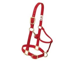 3/4-Inch Red Original Adjustable Chin & Throat Snap Halter