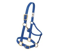 3/4-Inch Blue Original Adjustable Chin & Throat Snap Halter
