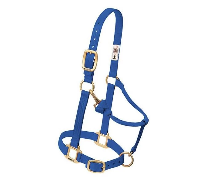 3/4-Inch Blue Original Adjustable Chin & Throat Snap Halter 3 3/4-Inch Blue Original Adjustable Chin & Throat Snap Halter
