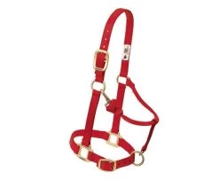 1-Inch Red Original Adjustable Chin & Throat Snap Halter