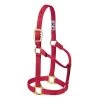 1-Inch Medium Red Original Non-Adjustable Halter -Farm And Ranch Store 1495829 ep 1584381437 0