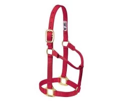 1-Inch Medium Red Original Non-Adjustable Halter