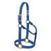 1-Inch Medium Blue Original Non-Adjustable Halter -Farm And Ranch Store 1495837 ep 1584381502 0