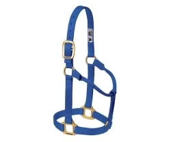 1-Inch Medium Blue Original Non-Adjustable Halter