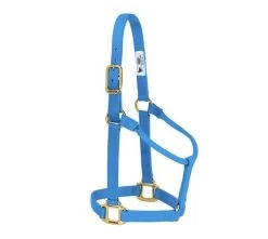 1-Inch Medium Hurricane Blue Original Non-Adjustable Halter