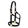 1-Inch Large Black Original Non-Adjustable Halter