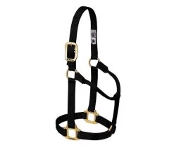 1-Inch Large Black Original Non-Adjustable Halter