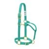 1-Inch Large Emerald Green Original Non-AdjustableHalter -Farm And Ranch Store 1495936 ep 1584381758 0