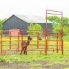 4-Foot Red 5-Bar Valu-Line Walk-Thru -Farm And Ranch Store 1745132B 1