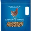 3-Pound Chicken Mealworm Treat -Farm And Ranch Store 2121689 ep 1624672970 0