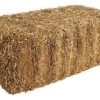 Straw Bale -Farm And Ranch Store 2237212 ep 1428943801 0