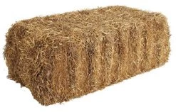 Straw Bale