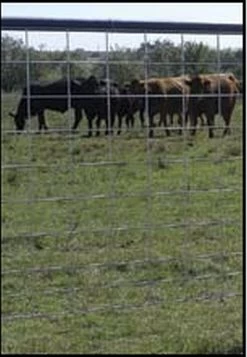 50-Inch X 16-Foot Wire Cattle Panel -Farm And Ranch Store 5749908 ep 1507298620 0