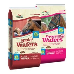 20-Pound Apple Wafer Horse Treats