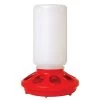 1-Quart, Red, Screw-On, Feeder Base -Farm And Ranch Store 6586416 ep 1682729815 0