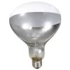 Clear 250 Watt Light Bulb -Farm And Ranch Store 697622588