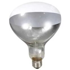 Clear 250 Watt Light Bulb