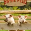 14% Hog Finisher Swine Feed, 50-Pound -Farm And Ranch Store 7082928 ep 1560806091 1