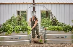 2 X 6 X 2-Foot 170-Gallon Oval Galvanized Steel Ultra Stock Tank