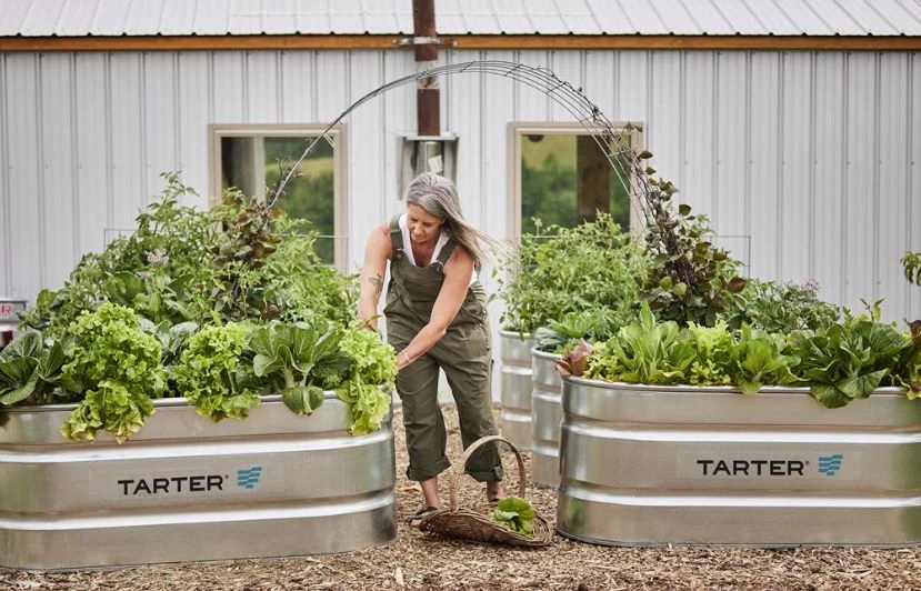 2 X 6 X 2-Foot 170-Gallon Oval Galvanized Steel Ultra Stock Tank 3 2 X 6 X 2-Foot 170-Gallon Oval Galvanized Steel Ultra Stock Tank