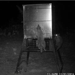 600-Pound Stand And Fill Broadcast Feeder