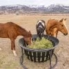 Equine Hay Basket -Farm And Ranch Store 7829153 ep 1667418785 0