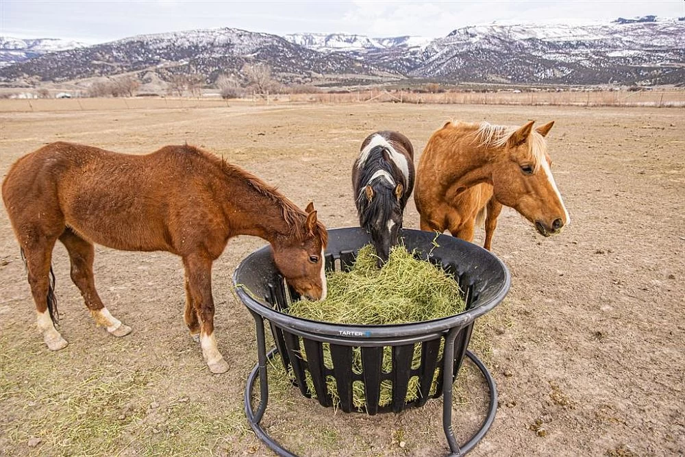 Equine Hay Basket 3 Equine Hay Basket