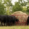 Red Heavy Duty Slant Bar Steelcor Round Bale Hay Feeder, 2-Piece -Farm And Ranch Store 7829260 ep 1667421593 0