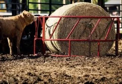 Valu-Line Cattle Bale Feeder