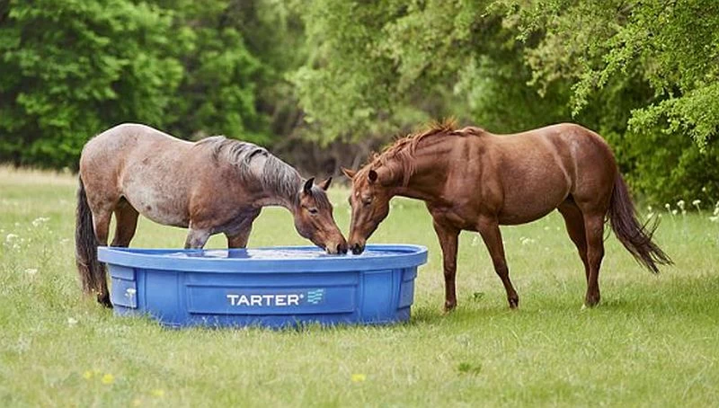 2 X 8-Foot 625-Gallon Round Stock Tank 4 2 X 8-Foot 625-Gallon Round Stock Tank - Image 2