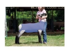 Large Blue Spandex Lamb Tube
