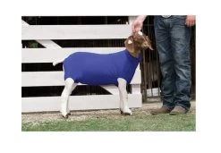 Large Blue Spandex Goat Tube