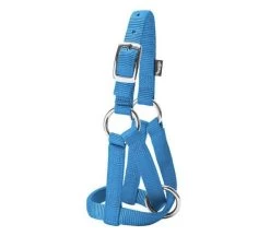 Medium Hurricane Blue Nylon Goat Halter