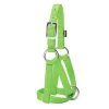Large Lime Zest Nylon Goat Halter -Farm And Ranch Store 874990 ep 1583948295 0