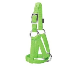 Large Lime Zest Nylon Goat Halter