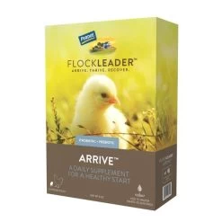 Arrive, 8-Ounce, Daily Probiotic And Prebiotic Water Young-Chicken Supplement -Farm And Ranch Store 9623950 ep 1677461898 0