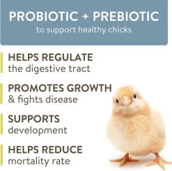 Arrive, 8-Ounce, Daily Probiotic And Prebiotic Water Young-Chicken Supplement -Farm And Ranch Store 9623950 ep 1677461900 3
