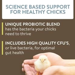 Arrive, 8-Ounce, Daily Probiotic And Prebiotic Water Young-Chicken Supplement -Farm And Ranch Store 9623950 ep 1677461901 4