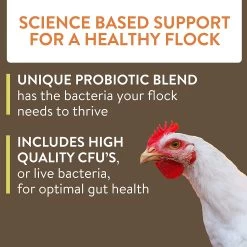 Thrive 8-Ounce Daily Probiotic And Prebiotic Water Chicken Supplement For Chickens 8+ Weeks Old -Farm And Ranch Store 9623968 ep 1677465799 3