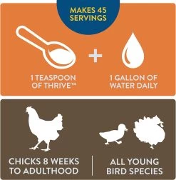 Thrive 8-Ounce Daily Probiotic And Prebiotic Water Chicken Supplement For Chickens 8+ Weeks Old