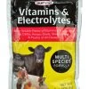 8-Ounce Vitamins & Electrolytes Multi-Species Formula -Farm And Ranch Store DV22500