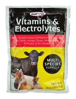 8-Ounce Vitamins & Electrolytes Multi-Species Formula