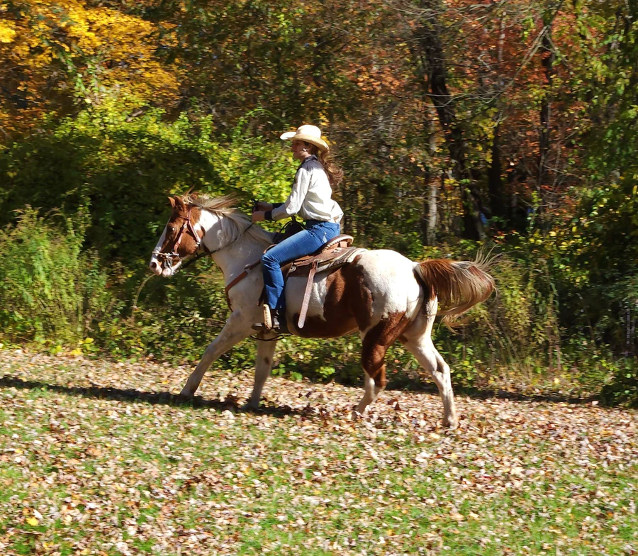 Farm And Ranch Store -Farm And Ranch Store